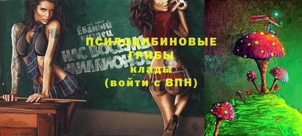 ГАЛЛЮЦИНОГЕННЫЕ ГРИБЫ Остров