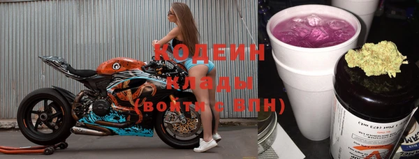 СК Осинники