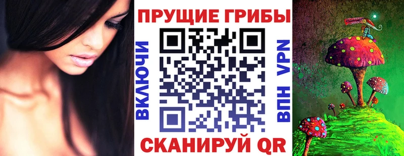хочу наркоту  Владимир  Галлюциногенные грибы Magic Shrooms 